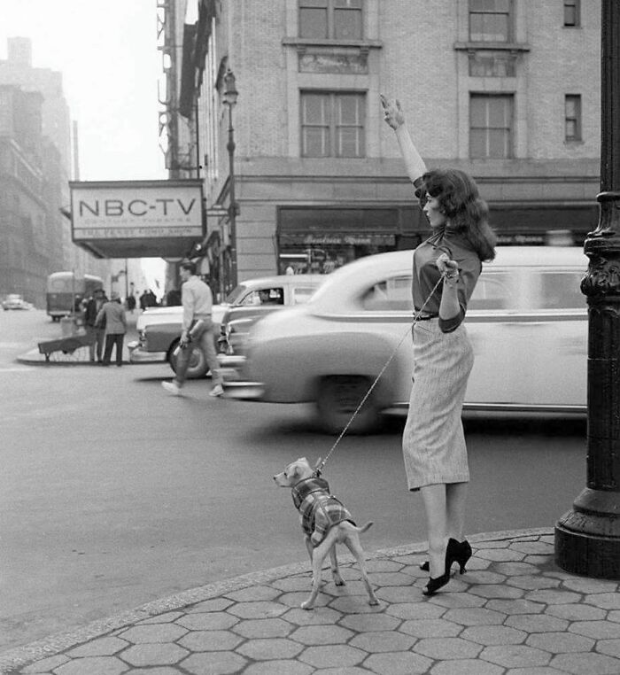 Woman Hailing A Cab In New York City, 1956