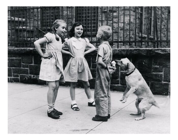 Dog Eating Ice Cream Cone Hidden Behind Boy’s Back. New York, 1949