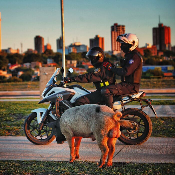 Daily Life In Paraguay Through The Lens Of Photographer Jorge Saenz (33 Pics)