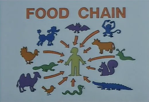 food-chain-664cfbb820240.jpg