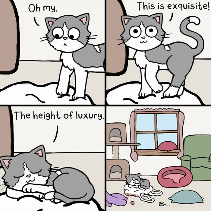 23 Funny And Relatable Comics About Relationships And Living With Cats, By This Artist (New Pics)