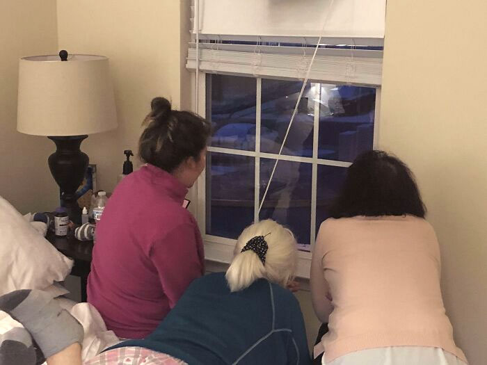 My Mother-In-Law And Her Sister Are Visiting From Brazil And Have Never Seen Snow Before And Their Excitement Is Adorable