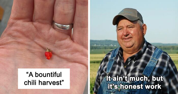 52 Hilarious Posts That Show Growing Your Own Food Is Not For Everyone (New Pics)