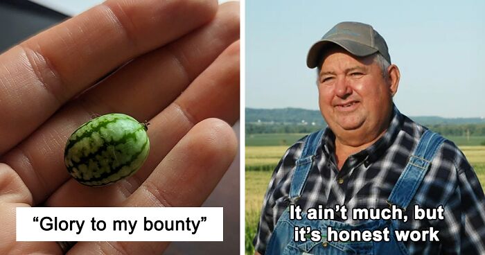 52 Times People Tried Their Hand At Gardening And Ended Up Hilariously Disappointed (New Pics)