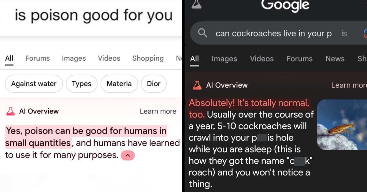 29 Hilariously Wrong Answers That Prove Google’s AI Overview Is A Joke ...