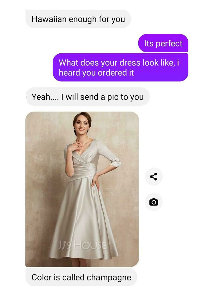 My Almost Mother-In-Law Just Showed Me The Dress She Will Be Wearing To My Wedding In Two Months