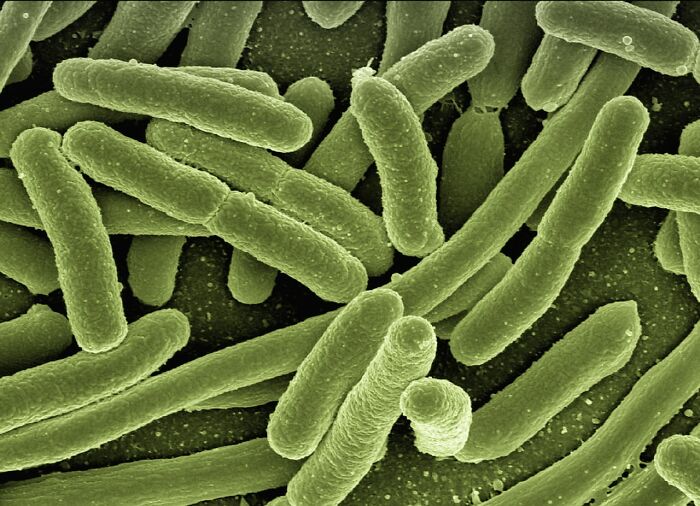 Bacteria In Space Mutate Into Forms Never Seen Before On Earth - 14