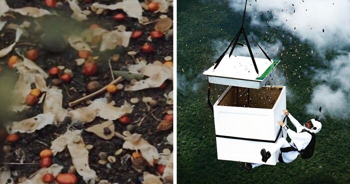 11-Time Guinness World Record Holder Released 100 Million Seeds Into The Deforested Brazilian Amazon