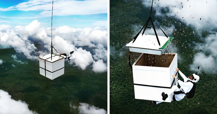 Man Sprinkles 100 Million Seeds Above Amazon Forest From 6,500 Feet