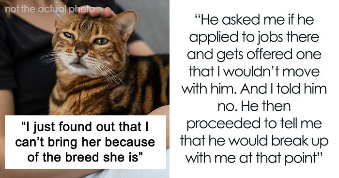 Woman Picks Cat Over A Year Of Travelling, Her BF Can't Believe It