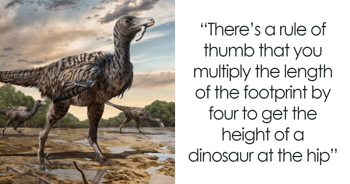 Scientists Discover “Megaraptor” In China That’s Left Paleontologists “Flabbergasted”