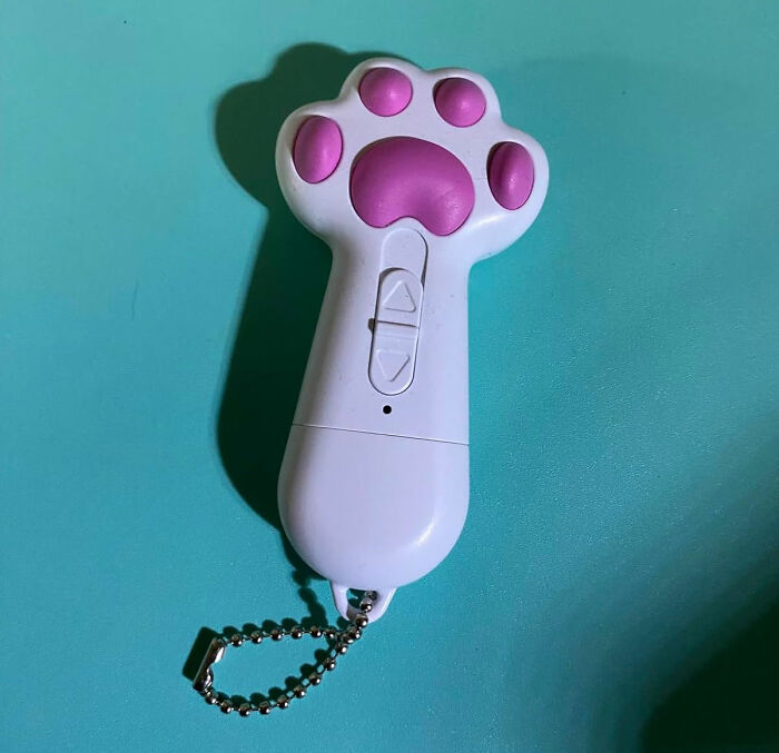 No One Loves A Good Laser More Than A Cat So Spoil Your Feline With This Cat Teaser Toy 