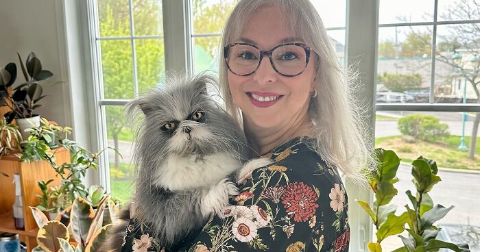 Fluffiest Of Them All: This Cat Became An Internet Sensation For His Extraordinary Fur