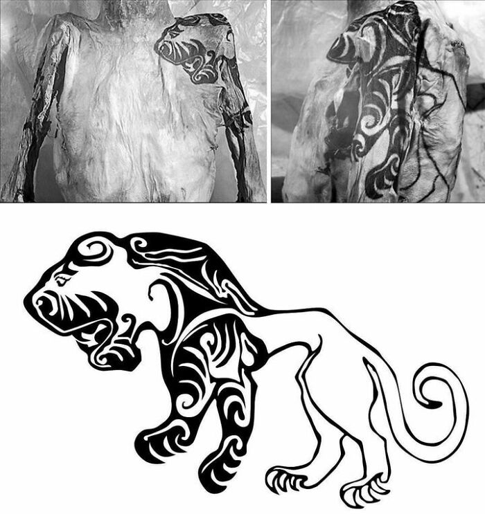 A Tiger Tattoo On The Shoulder Of A Scythian Male Mummy Found In 1949 In The Altai Mountains Of Siberia. 3rd Century Bce, Russia More: Https://Thetravelbible.com/Mysterious-Archaeological-Finds/