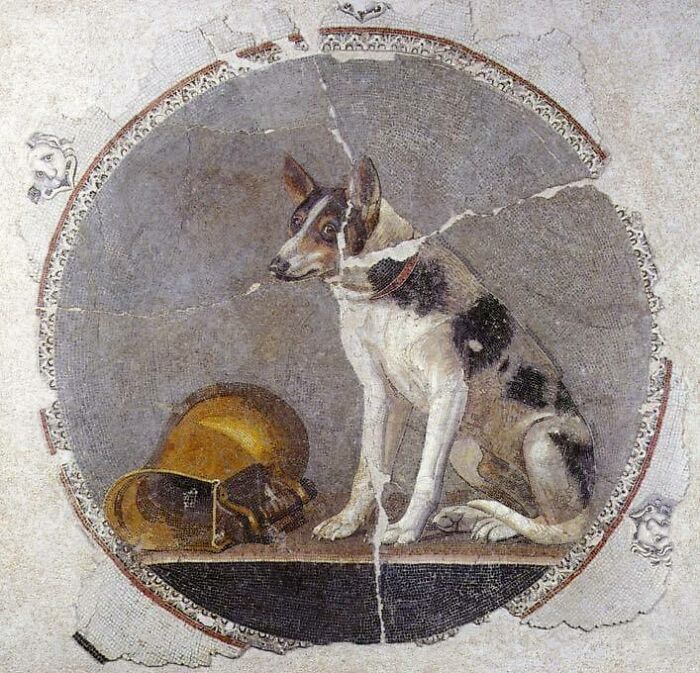 Mosaic Floor Depicting A Dog And A Knocked-Over Gold Vessel