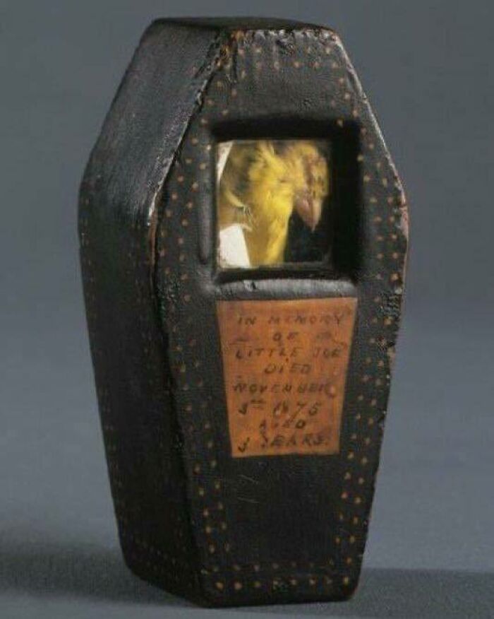 A Coal Miner's Canary, The Inscription Reads: "In Memory Of Little Joe. Died November 3rd 1875. Aged 3 Years”