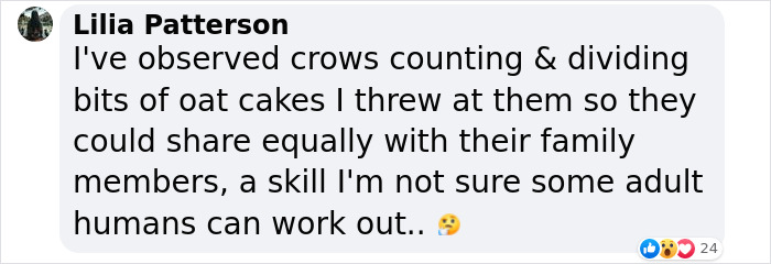 Groundbreaking Study Reveals Crows Can Count—And Out Loud, No Less