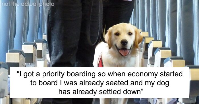 Entitled Parent Demands That Their Son Get The Seat Reserved For A Service Dog, Owner Says No