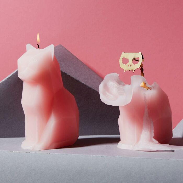  Cat Candle With Interior Skeleton : The Paw-Sibilities Of Candles Are Endless But We Never Expected To See This