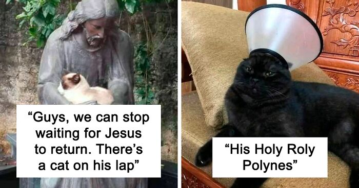 “I Don’t Recall Baby Jesus Having Fur”: 80 Cat Pics That Prove We Should Start A New Religion