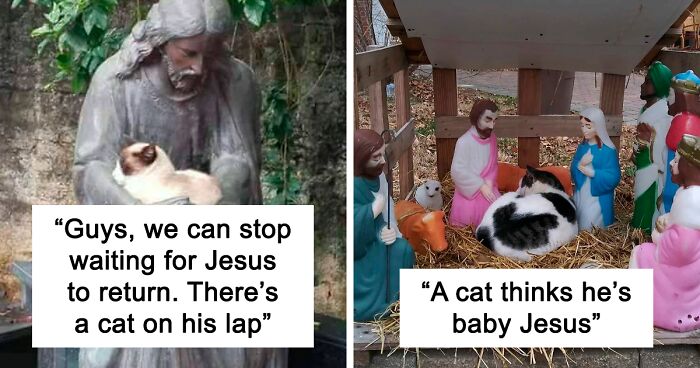 80 People And The Internet Got Quite Literally ‘Blessed’ By Cats