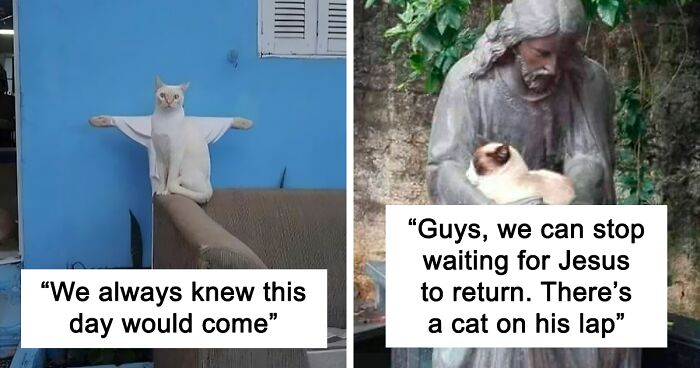 Holy Purrs Guaranteed: 80 People Caught Cats Being Incredibly Religious