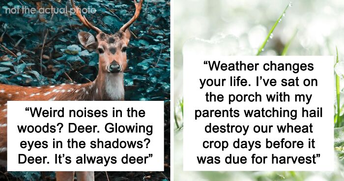 People Who Live In The Country Share 71 Things ‘City Folks’ Will Never Understand