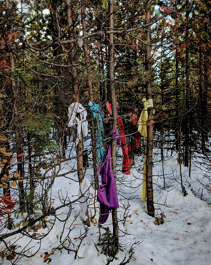 Back In 2018. Two-Hour Hike Into The Wilderness Following Moose Tracks. Very Far Off Of Any Marked Trail, I Found This. Turned Around And Started Walking Back