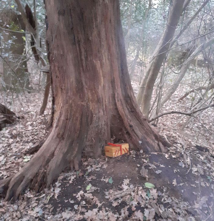 Found This Random Sewing Box-Looking Thing Under A Tree Earlier Today While Walking Through The Woods. Was Wondering, What Does It Mean?