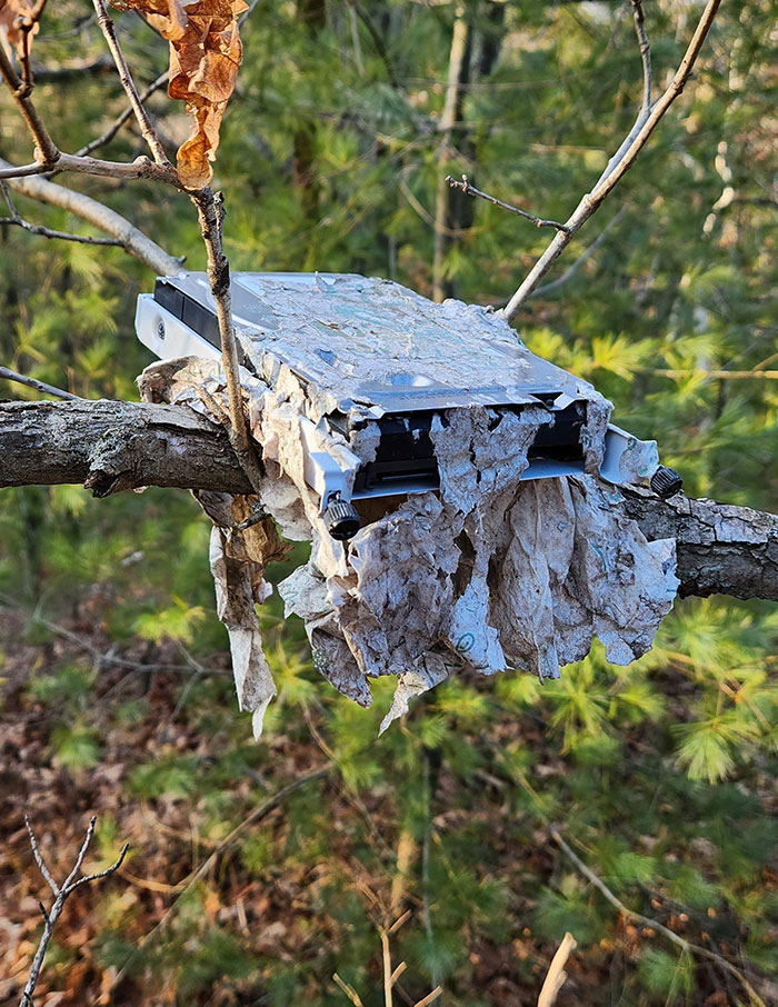 Found A Hard Drive In A Tree In The Woods