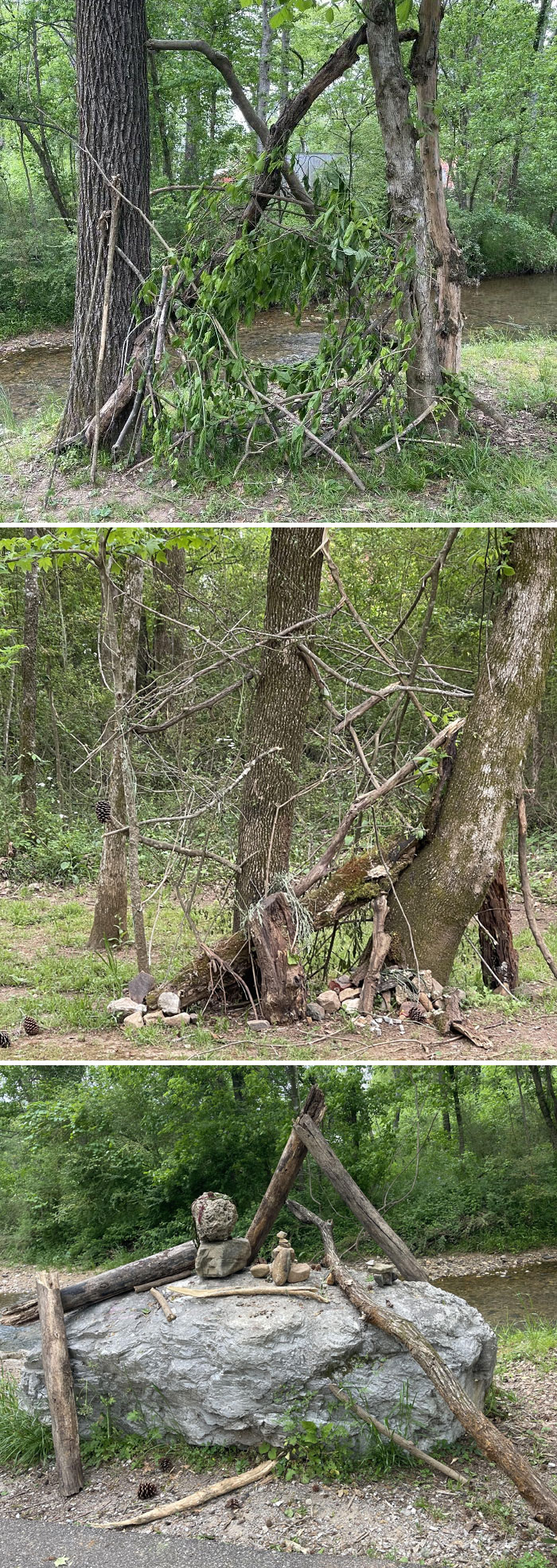 Found Some Weird Structures On A Walk. Anyone Knows What They Are?