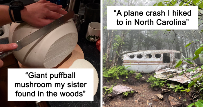 109 Times People Found Something Bizarre And Interesting In The Woods And Just Had To Share