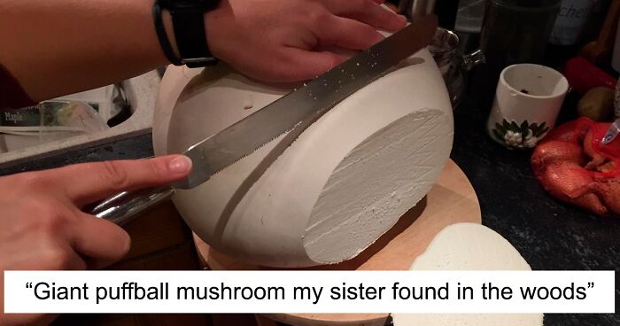 109 Times People Found Something Bizarre In The Woods And Just Had To Share