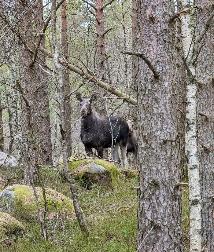 Met These Dudes On Today's Hike