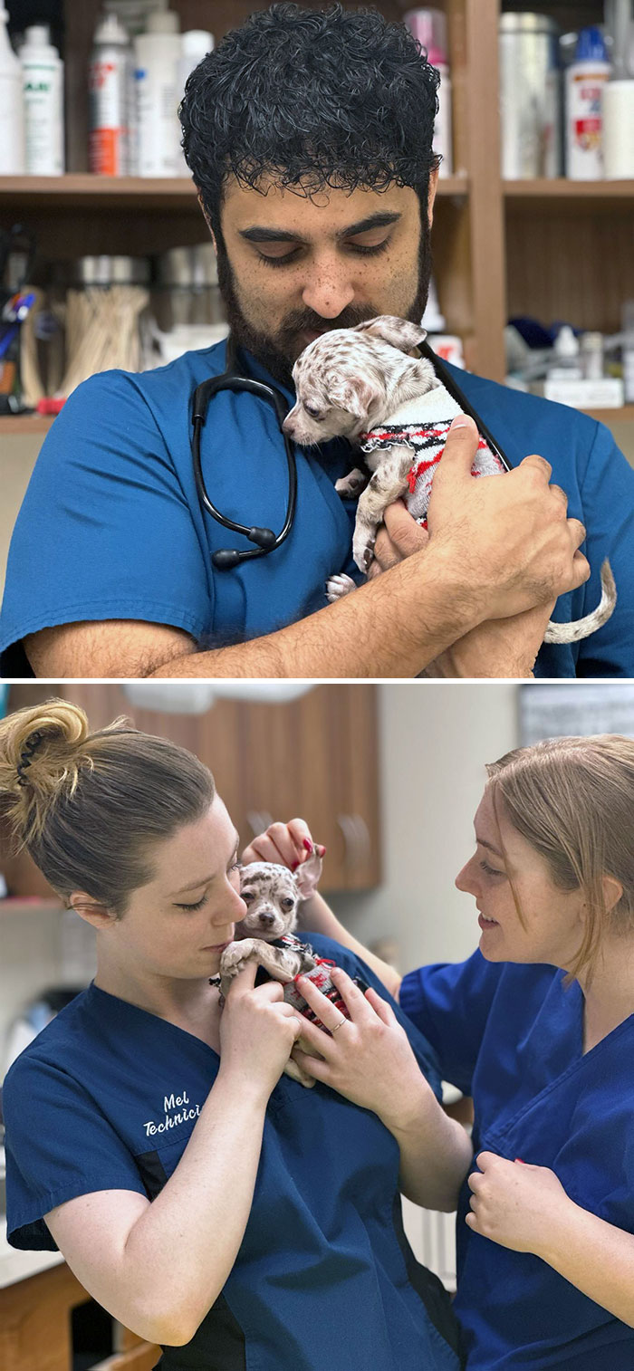 Rodeo Visited Us Today And Brought The Most Adorable Puppy Cheers! She Went Through Her First Vaccines Like A Champ And Got All The Cuddles And Snackies From The Team