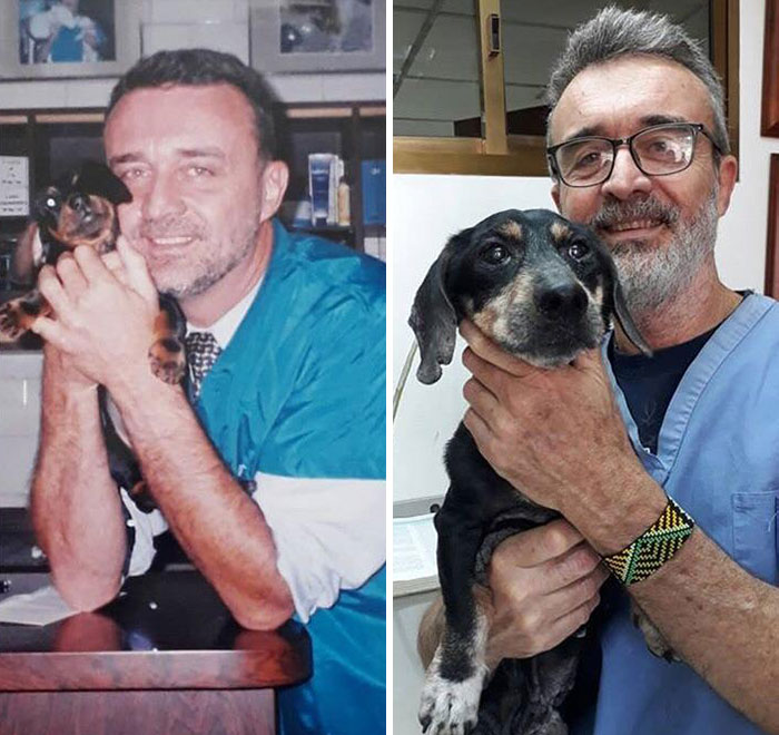 Veterinario cuidando del mismo perro durante 15 años