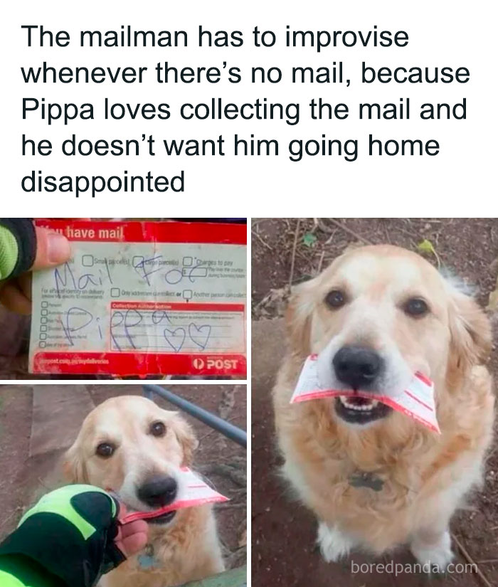 Hats Off To U Mr Mailman