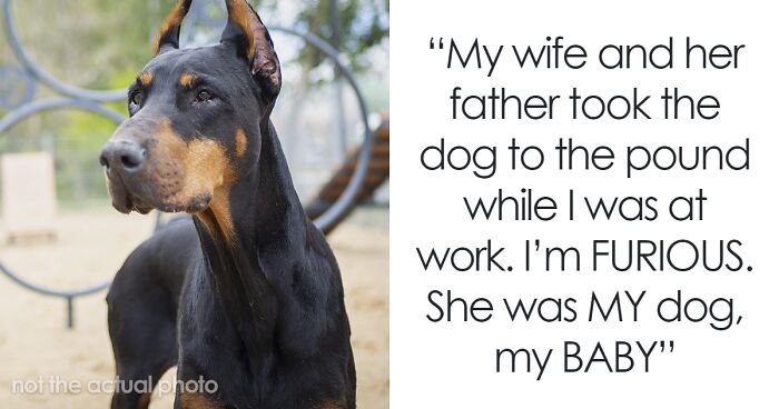 Wife Gets Rid Of Dog Without Husband’s Knowledge, He Starts Considering Divorce After Finding Out