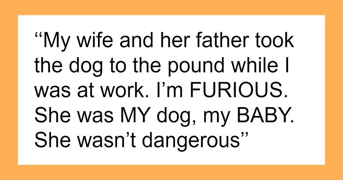 Wife Gets Rid Of Husband's Dog, Lies For 5 Years About It