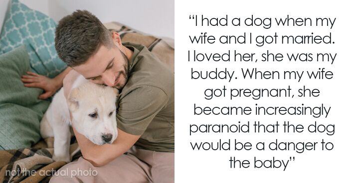 Guy Considers Divorce After Finding Out Wife Took His Beloved Dog To The Pound