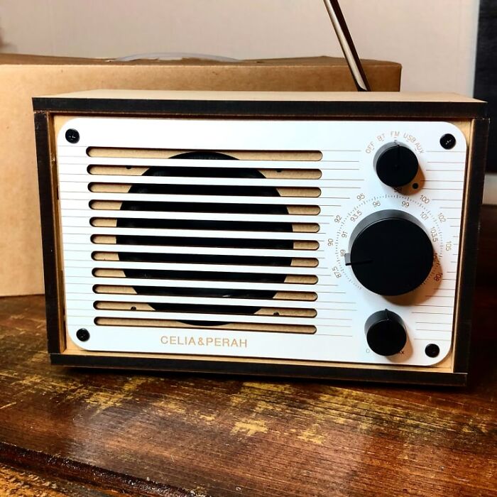 Amplify Your DIY Spirit With Build Your Own Bluetooth And Fm Radio For Music Lovers