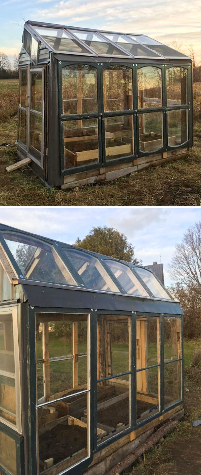 My Dad Built A Greenhouse Out Of Piles Of Random Stuff He’s Been Saving - Old Windows, Bits Of Flooring, Recycled Straightened Nails, And Off-Cuts Of Steel Roofing