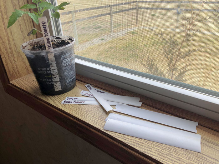 Old And Broken Window Blinds Turned Into Plant Markers