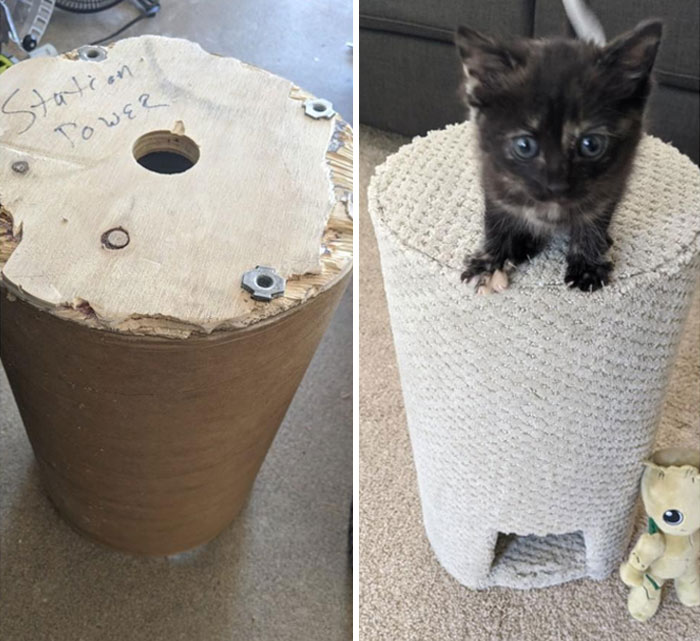 Upcycled A Broken Cable Spool From Work Into A Climbing Toy For Our New Kitten, Lady Sif