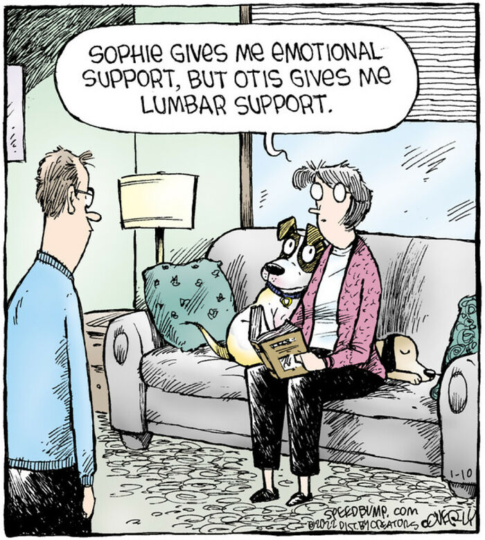 Dave Coverly's 'Speed Bump': A Delightful Dive Into The World Of Dogs (43 Pics)