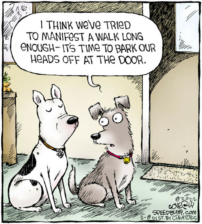 Dave Coverly's 'Speed Bump': A Delightful Dive Into The World Of Dogs (43 Pics)