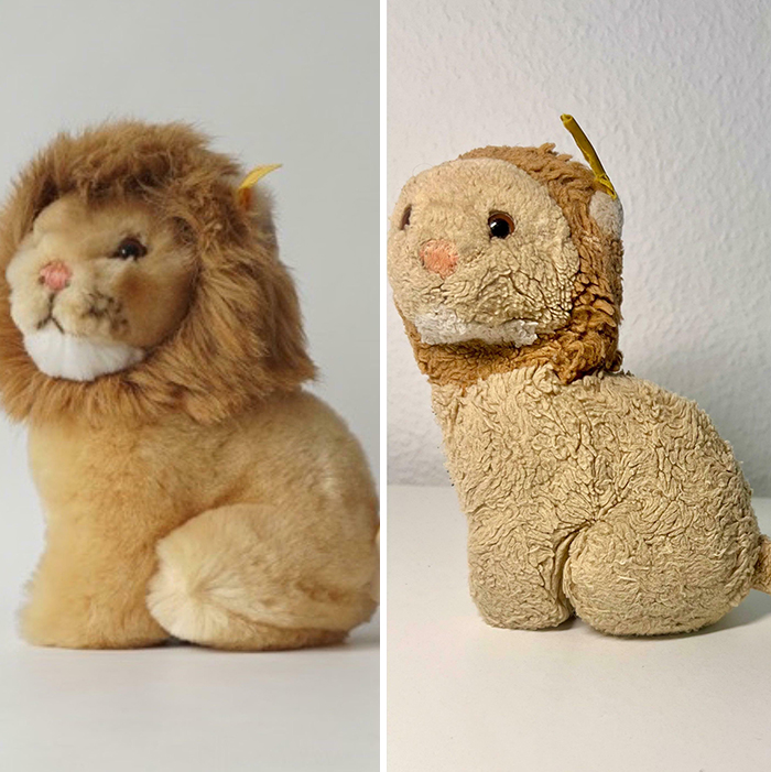 Aging Of A Stuffed Animal Lion After 30 Years
