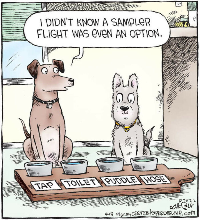 Dave Coverly's 'Speed Bump': A Delightful Dive Into The World Of Dogs (43 Pics)