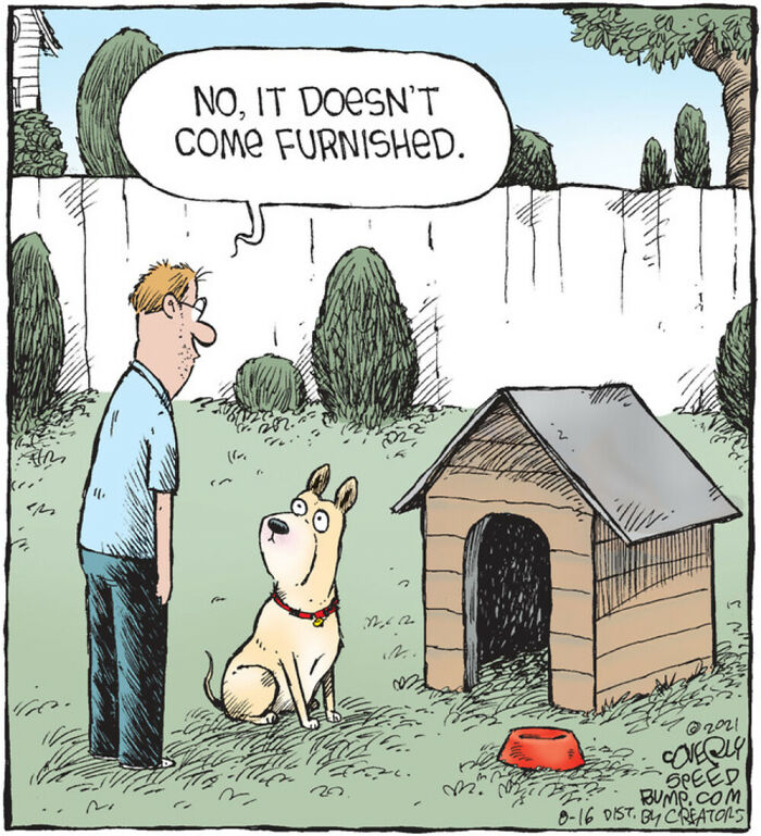 Dave Coverly's 'Speed Bump': A Delightful Dive Into The World Of Dogs (43 Pics)