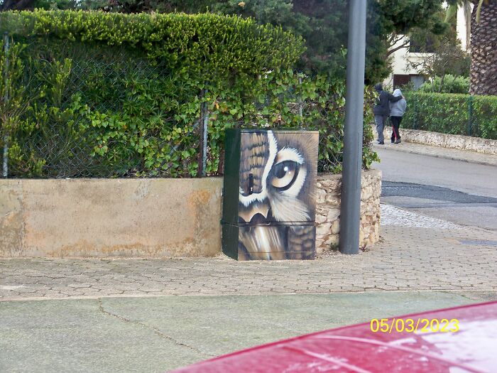 All The Electric Boxes Are Like This In Carvoeria Portugal!